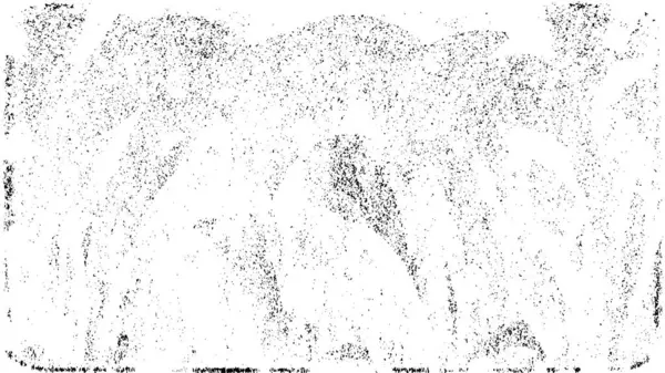 eski püskü siyah ve beyaz arka plan