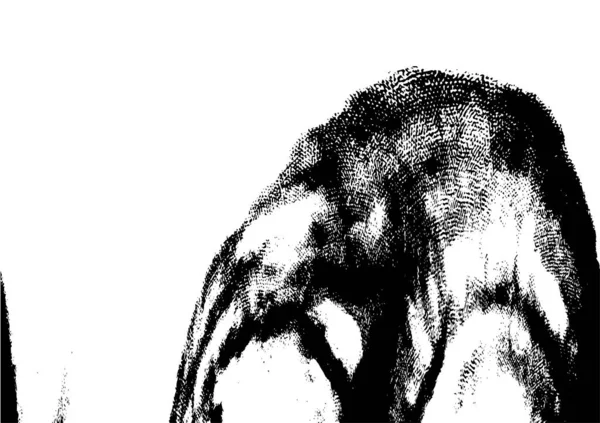 siyah ve beyaz eski püskü boya yüzeyi