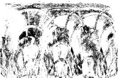 metin veya resim için alanı olan grunge arkaplanı  