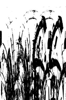 metin veya resim için alanı olan grunge arkaplanı  