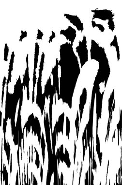 Eski siyah beyaz grunge vintage arkaplan 