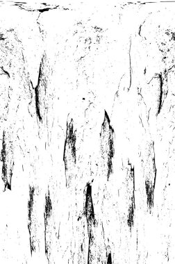 Kusursuz soyut siyah beyaz desen