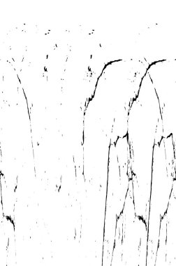 Kusursuz soyut siyah beyaz desen