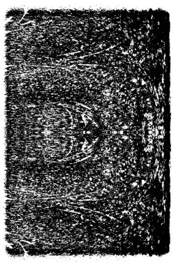 Soyut grunge arkaplanı. yaratıcı monokrom fon. vektör illüstrasyonu