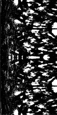 Soyut grunge arkaplanı. yaratıcı monokrom fon. vektör illüstrasyonu