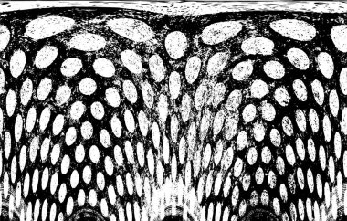 Soyut grunge arkaplanı. yaratıcı monokrom fon. vektör illüstrasyonu