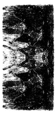 Soyut grunge arkaplanı. yaratıcı monokrom fon. vektör illüstrasyonu