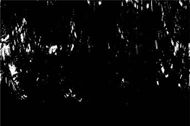 Kusursuz soyut siyah beyaz desen