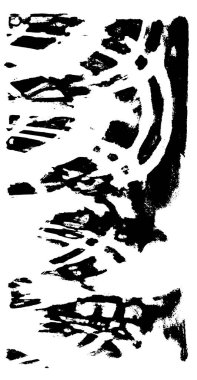 Soyut grunge arkaplanı. yaratıcı monokrom fon. vektör illüstrasyonu