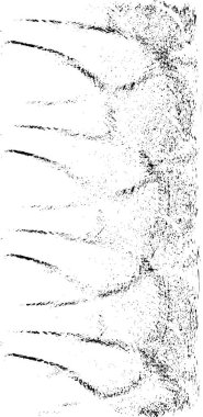 Soyut arkaplan. Monokrom dokusu. Siyah ve beyaz tonlar.