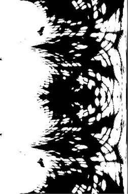 Soyut arkaplan. Monokrom dokusu. Siyah ve beyaz tonlar.