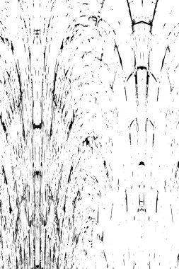 Soyut arkaplan. Monokrom dokusu. Siyah ve beyaz tonlar.