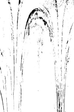 siyah ve beyaz monokrom eski grunge vintage arka plan soyut, doku retro desenli