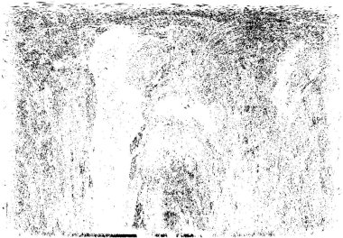 siyah ve beyaz desenli model vektör arkaplanı