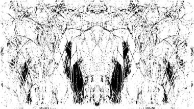 siyah ve beyaz desenli model vektör arkaplanı