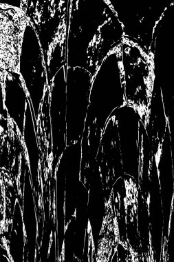 Farklı desenlere sahip soyut grunge arkaplanı, siyah ve beyaz 