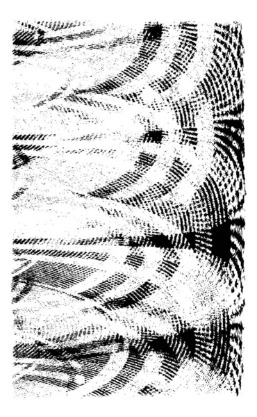 Soyut arkaplan. Monokrom dokusu. Siyah ve beyaz tonlar.