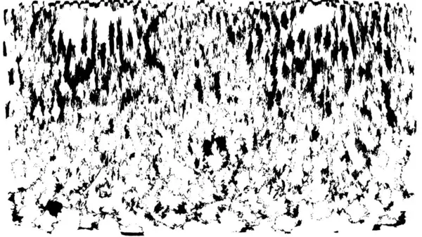 黒と白のモノクロの古いグラウンジのヴィンテージの背景抽象 レトロパターンのテクスチャ — ストックベクタ