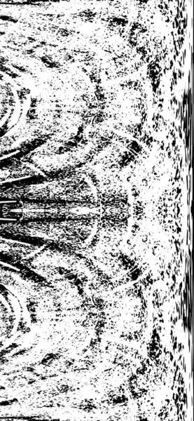 siyah ve beyaz desenli model vektör arkaplanı