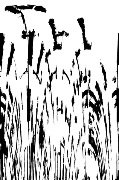 siyah ve beyaz desenli model vektör arkaplanı