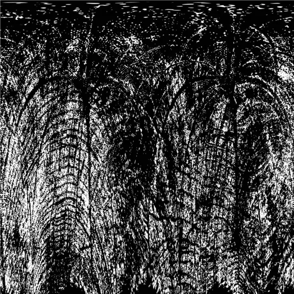 siyah ve beyaz tek renkli eski grunge vintage arkaplan 