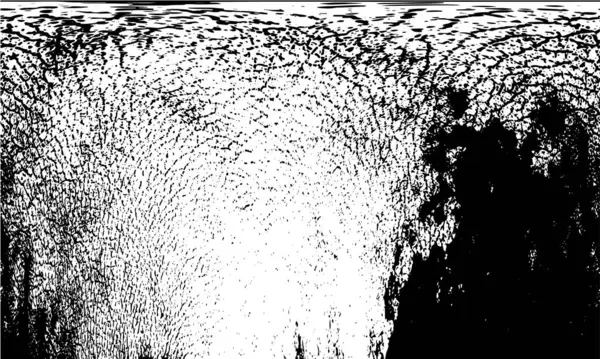 siyah ve beyaz desenli model vektör arkaplanı