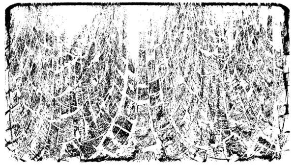 siyah ve beyaz desenli model vektör arkaplanı