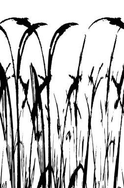 pürüzlü siyah beyaz arkaplan