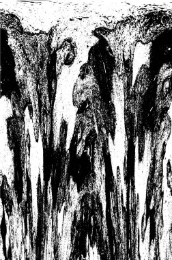 Soyut grunge arkaplanı. yaratıcı modern fon. vektör illüstrasyonu