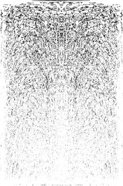 Grunge dikey olarak simetrik siyah beyaz doku. Tek renkli yıpranmış kaplama deseni. 