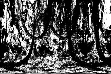 Beton siyah beyaz çatlaklar