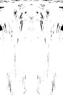 Grunge dikey olarak simetrik siyah beyaz doku. Tek renkli yıpranmış kaplama deseni. 