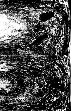 Soyut grunge arkaplanı. yaratıcı modern fon. vektör illüstrasyonu