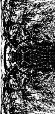 soyut antika desenli retro desenli