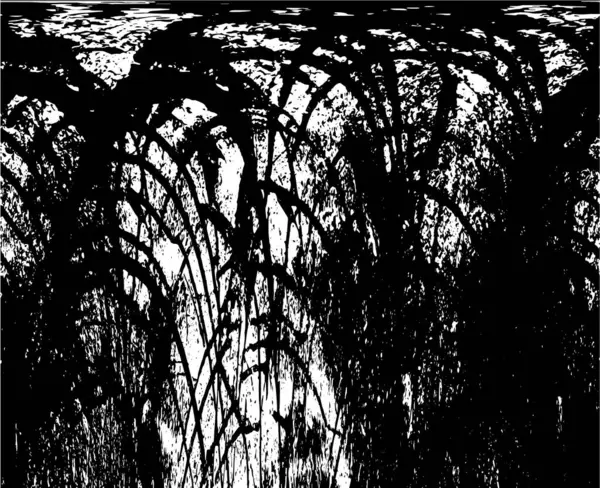 siyah ve beyaz grunge doku örnekleme arkaplanı 