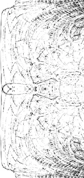 siyah ve beyaz grunge doku örnekleme arkaplanı 