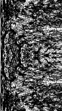 Soyut grunge arkaplanı. yaratıcı modern fon. vektör illüstrasyonu