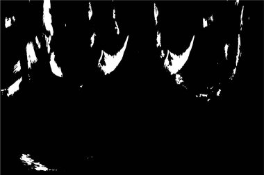 siyah ve beyaz desenli, soyut arkaplan