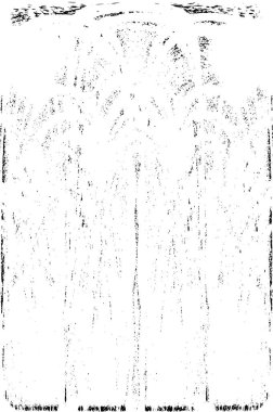 Grunge dikey olarak simetrik siyah beyaz doku. Tek renkli yıpranmış kaplama deseni. 