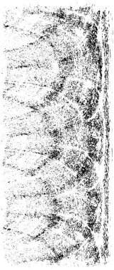 Soyut arkaplan. Monokrom dokusu. Resim siyah ve beyaz tonları içerir.