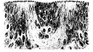 Soyut arkaplan. Monokrom dokusu. Resim siyah ve beyaz tonları içerir.