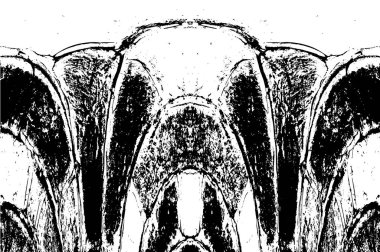 Soyut arkaplan. Monokrom dokusu. Resim siyah ve beyaz tonları içerir.