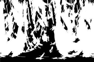 Soyut arkaplan. Monokrom dokusu. Resim siyah ve beyaz tonları içerir.