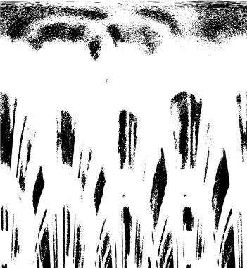 Soyut arkaplan. Monokrom dokusu. Resim siyah ve beyaz tonları içerir.