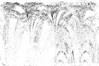 siyah beyaz soyut dokulu arka plan