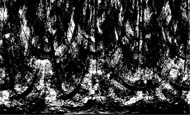 siyah beyaz soyut dokulu arka plan