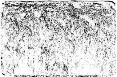 soyut grunge arka plan. siyah ve beyaz doku. vektör çizim.