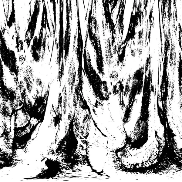 siyah ve beyaz soyut desenli tasarım