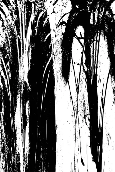 Soyut arkaplan. Monokrom dokusu. Resim siyah ve beyaz tonları içerir.