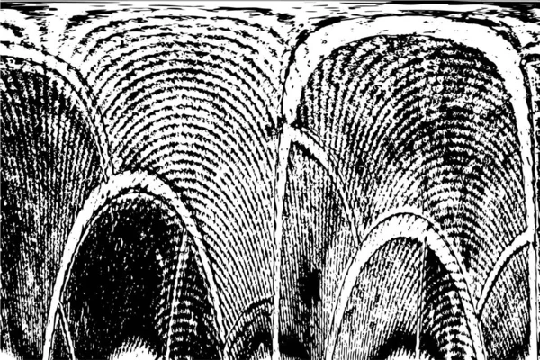 Soyut arkaplan. Monokrom dokusu. Resim siyah ve beyaz tonları içerir.